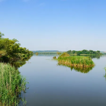 In - Balaton 44881 Apartman Hévíz